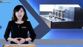 [AudioHanoiTV] Số 81: Review Bộ Pre-Power Ampli PrimaLuna ProLogue Premium