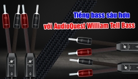 Trải nghiệm tiếng bass đầy uy lực cùng dây loa AudioQuest William Tell Bass | AudioHanoiTV số 290
