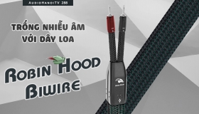 Cặp đôi hoàn hảo dây loa chống nhiễu âm Audioquest Robin Hood Silver Biwire | AudioHanoiTV 288