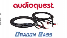 Công nghệ dây dẫn chuẩn Mỹ từ dây loa AudioQuest Dragon Bass | AudioHanoiTV 304