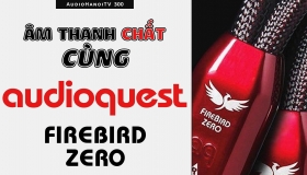 Trải nghiệm âm thanh cực “chất” cùng dây loa AudioQuest FireBird Zero | AudioHanoiTV 300