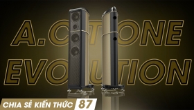 Những bất ngờ đặc biệt ở loa Wilson Benesch A.C.T One Evolution | Chia sẻ kiến thức 87