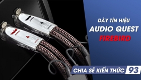 Chất lượng truyền dẫn vượt trội của dây tín hiệu AudioQuest FireBird | Chia sẻ kiến thức 93