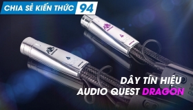 Đỉnh cao chất lượng với dây dẫn tín hiệu Audio Quest Dragon | Chia sẻ kiến thức 94