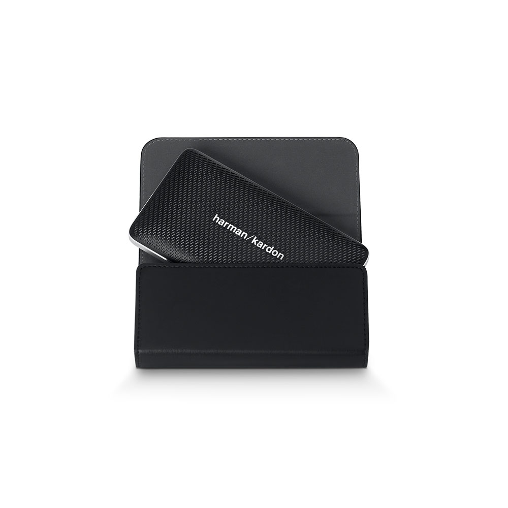 Harman Kardon Esquire Mini Case