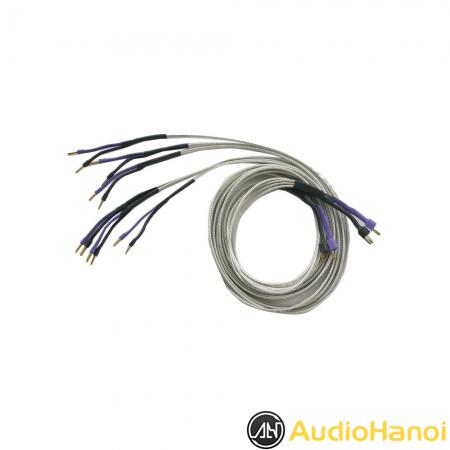 Dây loa Analysis Custom Cables For Tri-Wire Speakers