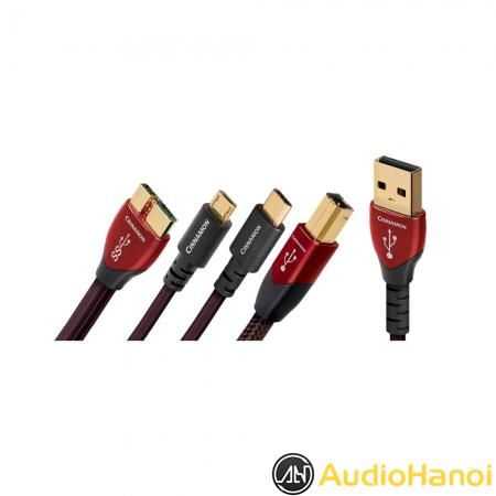 Dây tín hiệu USB AudioQuest Cinnamon