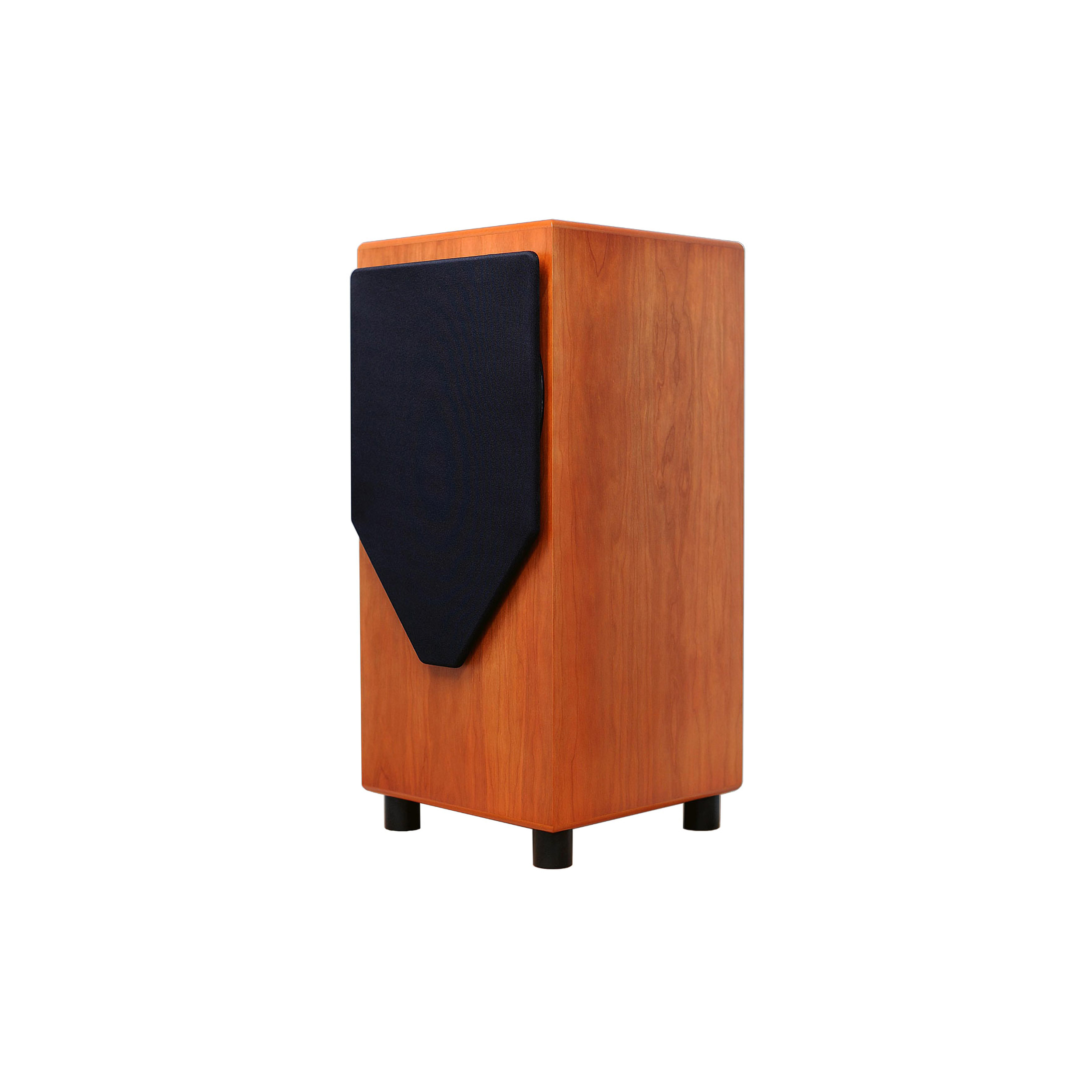 Loa MJ Acoustics REF 210-SR