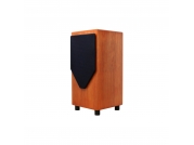 Loa MJ Acoustics REF 210-SR