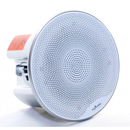 Loa âm trần karaoke PA Audio BQ4L