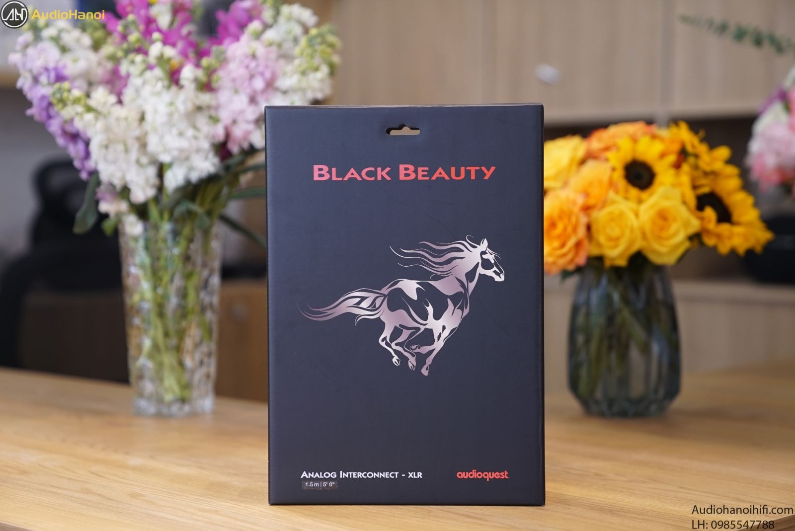 AudioQuest Black Beauty XLR