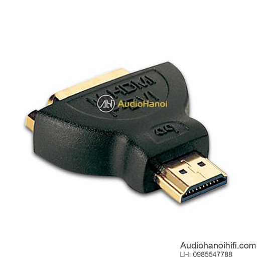 AudioQuest DVI HDMI out