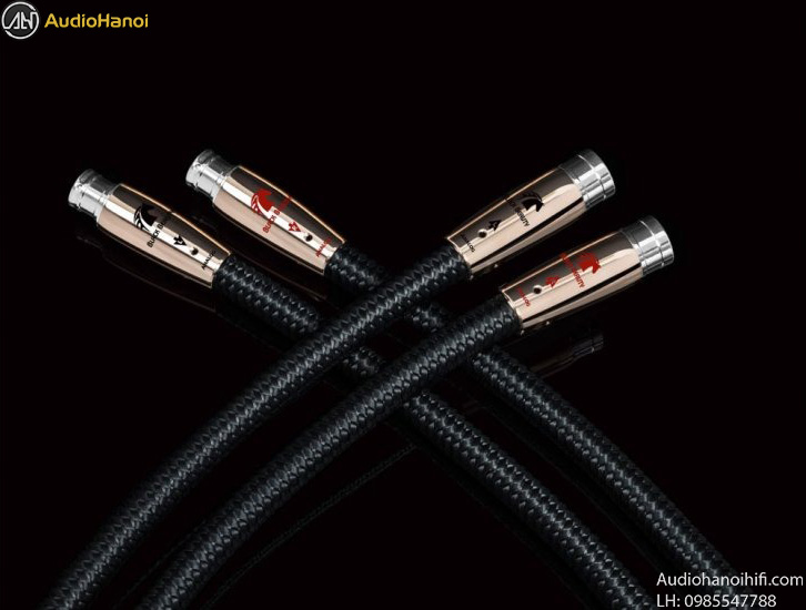 Black Beauty XLR dep