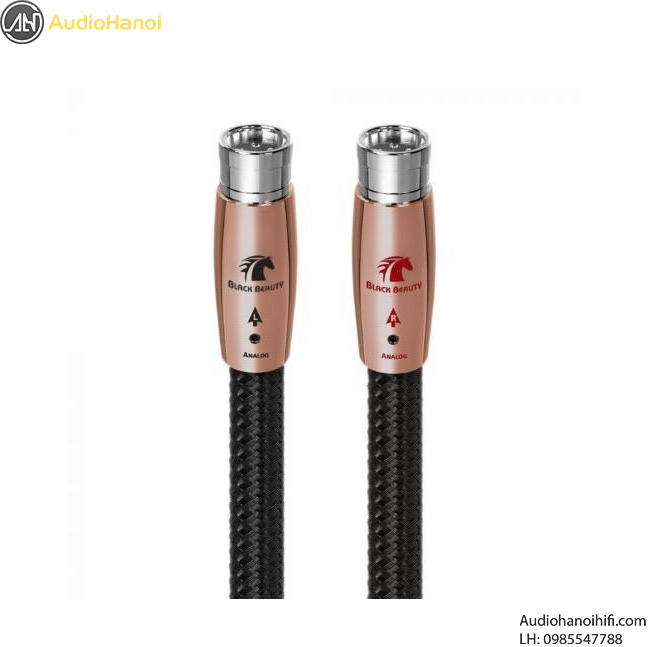 Black Beauty XLR doi