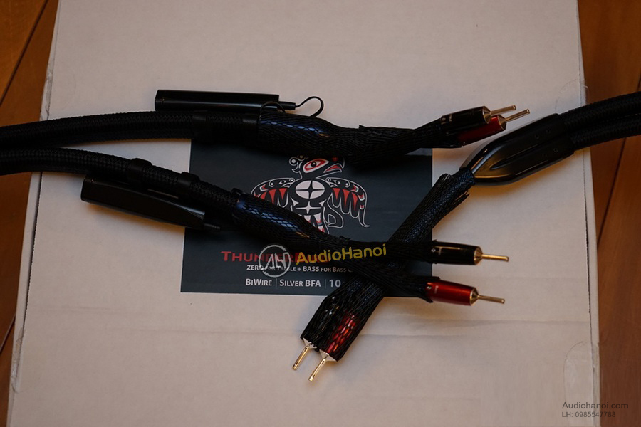 day loa audioquest thunderbird bass chat luong