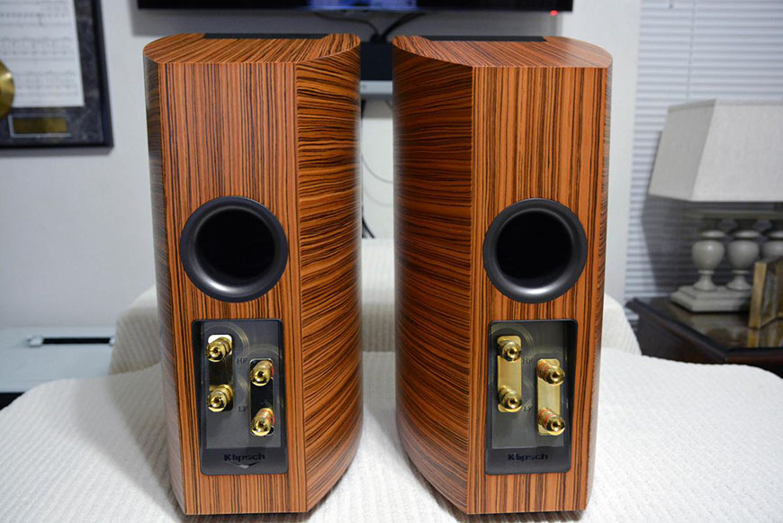 mat sau loa Klipsch P 17B