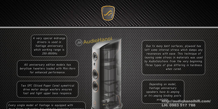 Loa AudioSolutions Vantage S cau tao thung loa