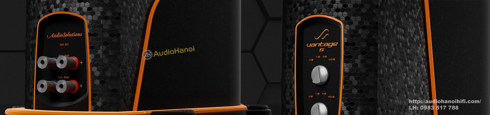 Loa AudioSolutions Vantage S