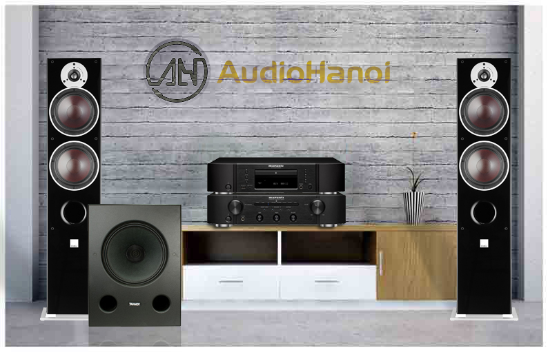 loa Tannoy DC12i