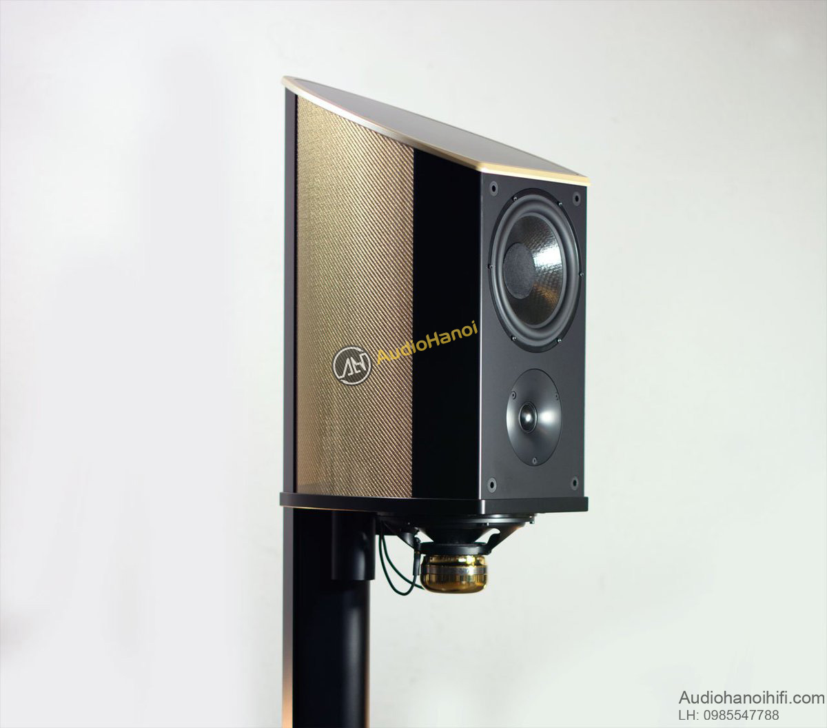 Loa Wilson Benesch Discovery II nghieng(1)(1)