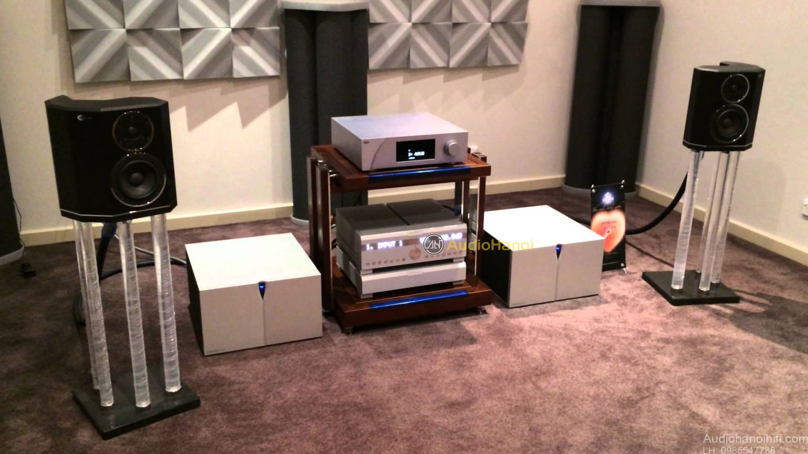 mono block power ampli Audia Flight Strumento n°8 chat