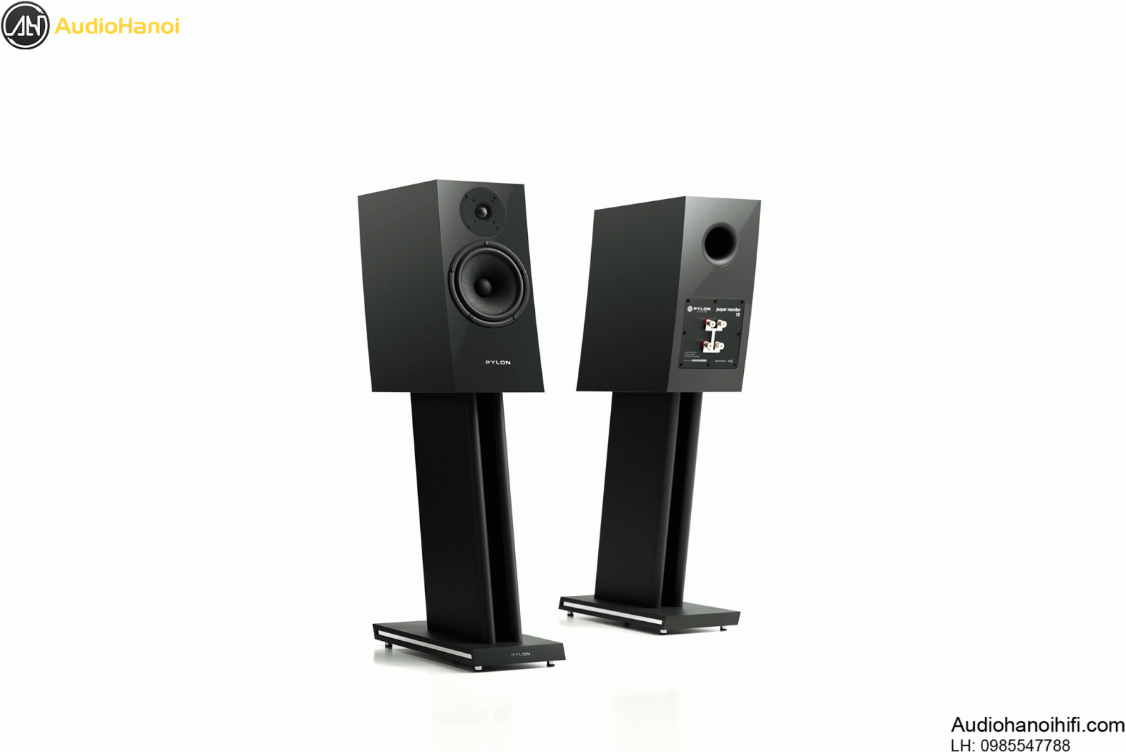 Pylon Audio Jasper Monitor 18 dep