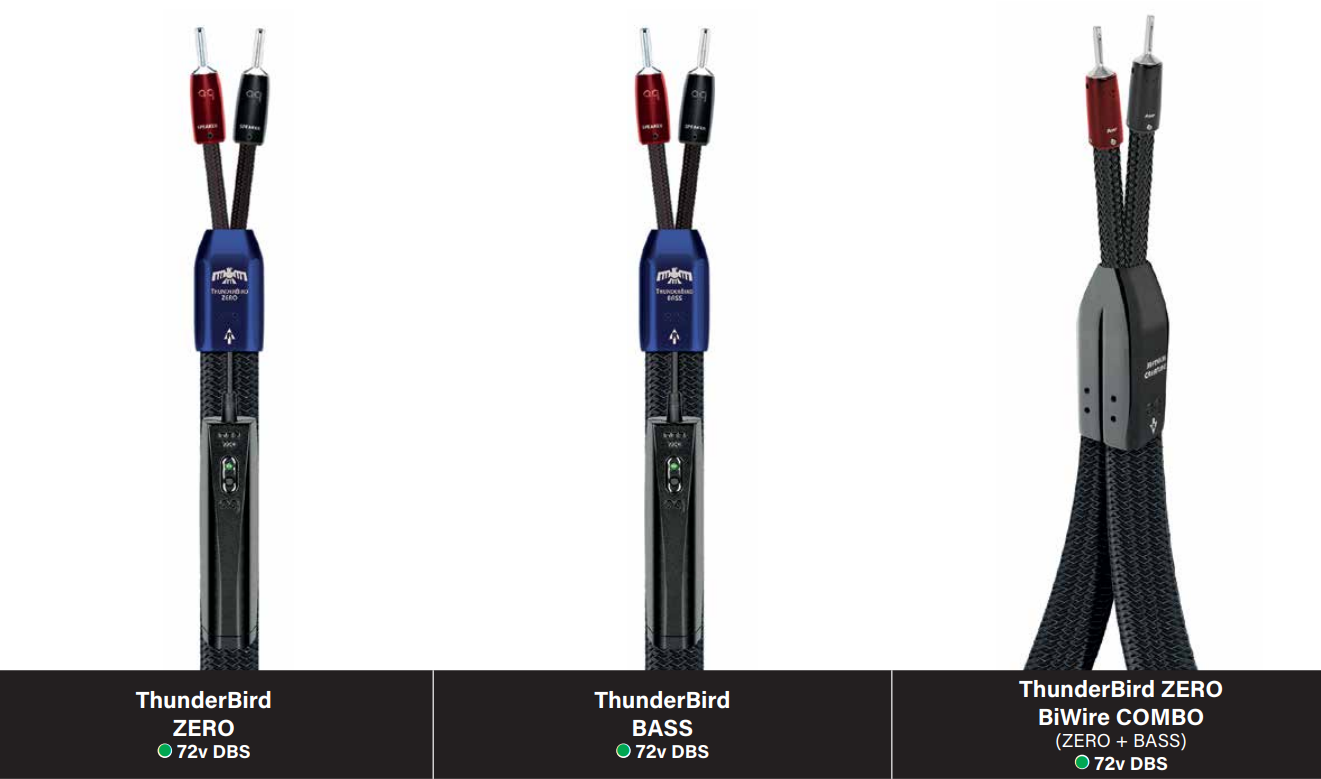 Thunderbird Mythycal(1)