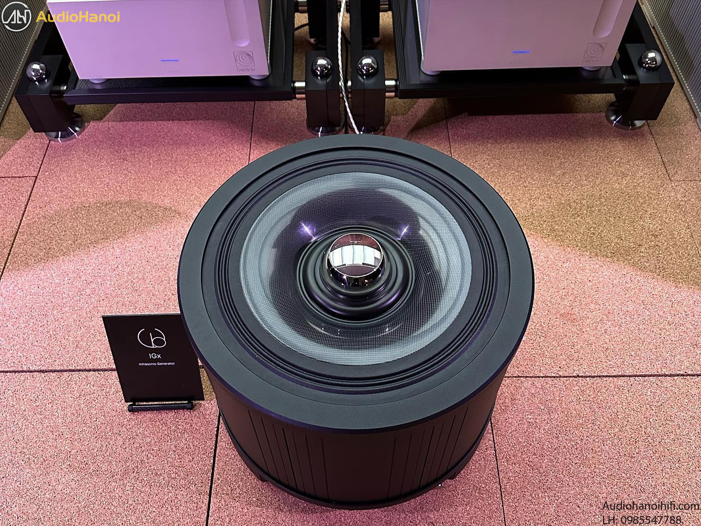 Wilson Benesch IGx dep