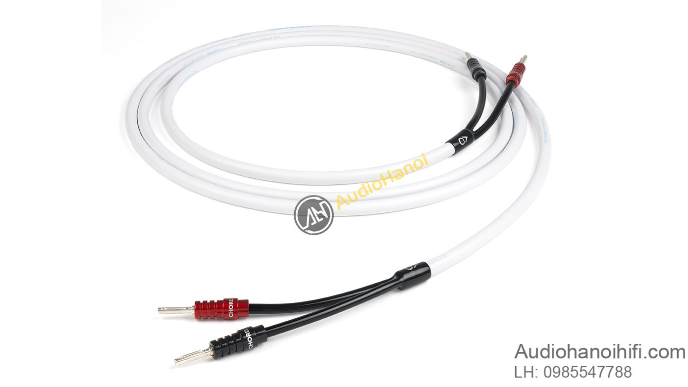 day loa chord company c screen 