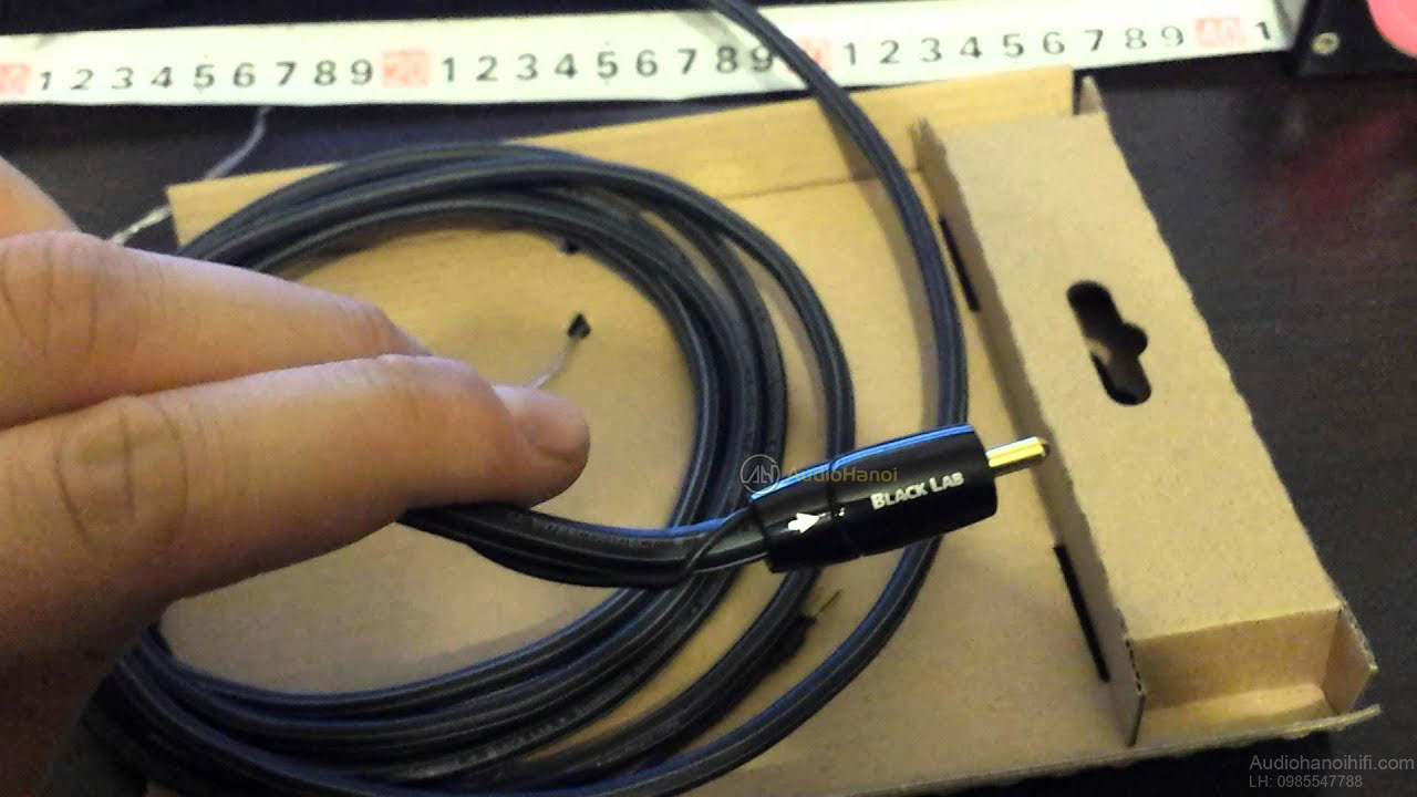 day tin hieu audioquest black lab subwoofer cable 