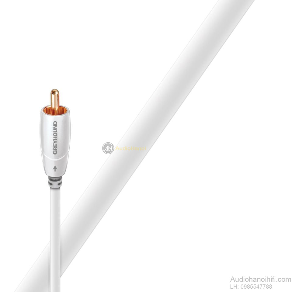 day tin hieu audioquest greyhound subwoofer 