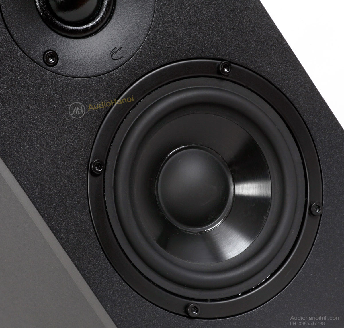 loa emotiva basx sat can canh 