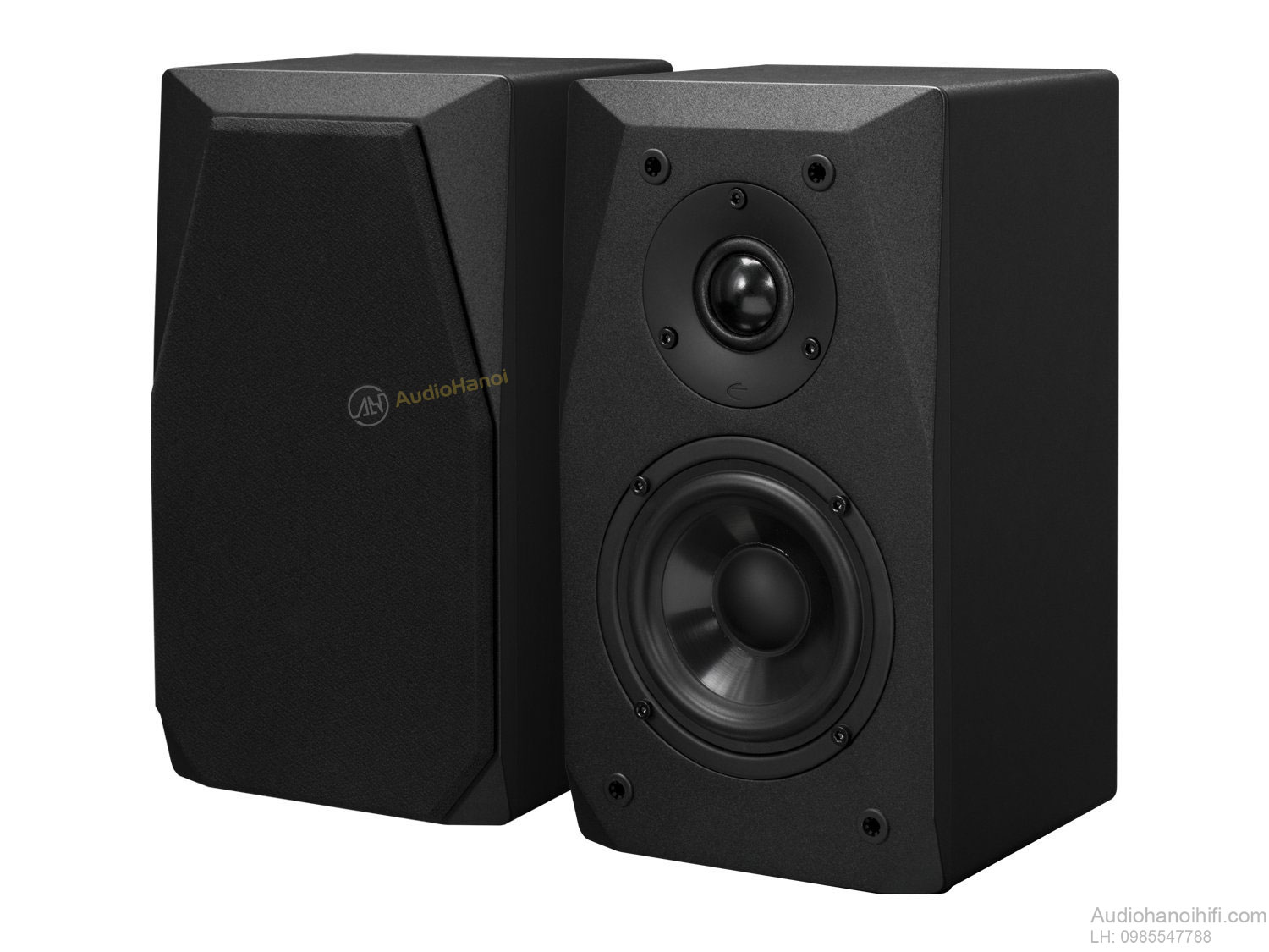 loa emotiva basx sat 