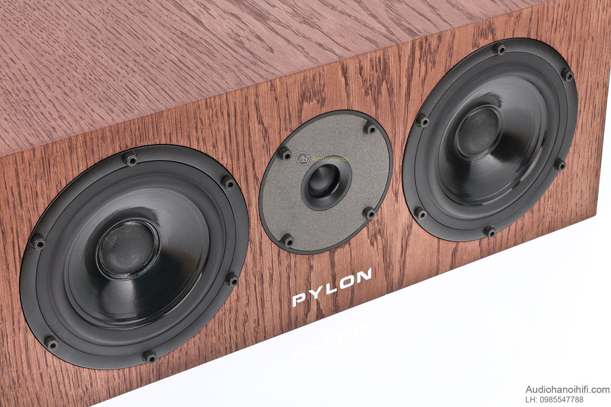 loa pylon audio diamond center can canh