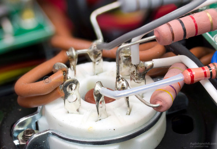 power ampli primanula evo 200